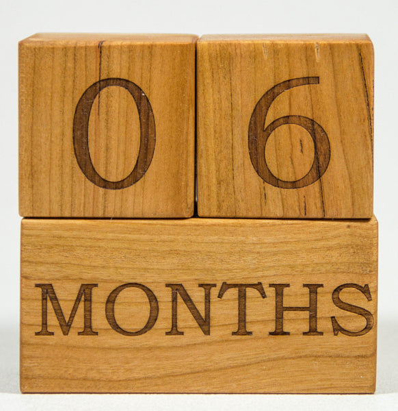 Milestone Blocks - Week, Month, Year,  & Grade - Handmade - Personalized
