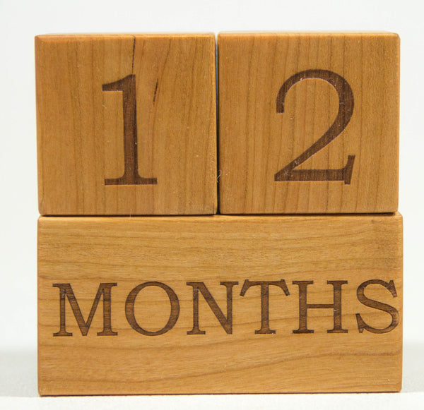 Milestone Blocks - Week, Month, Year,  & Grade - Handmade - Personalized
